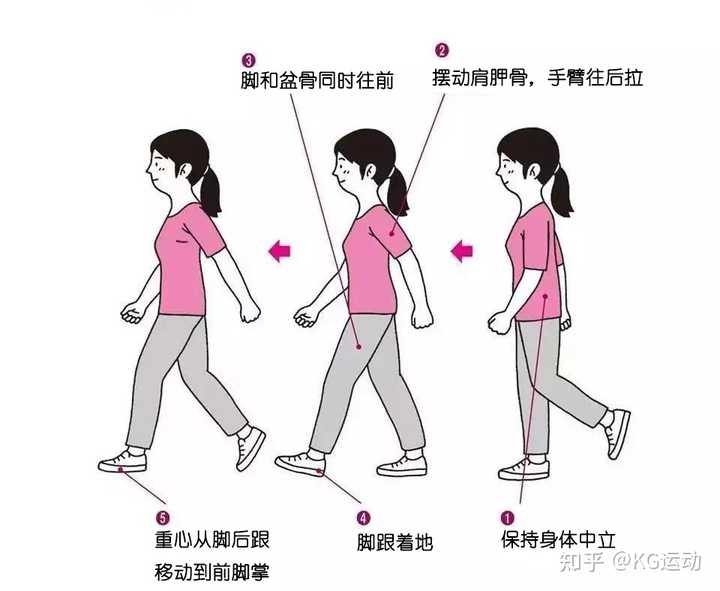 快走45分钟坚持一年，身体会出现那些变化? - 知乎