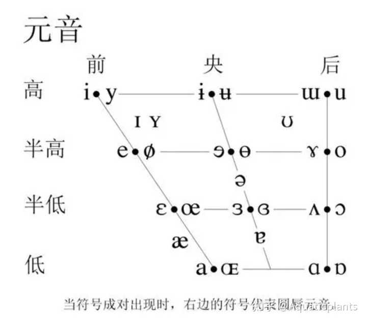 国际音标ɯ, ɤ和ə的发音区别是啥? - 知乎