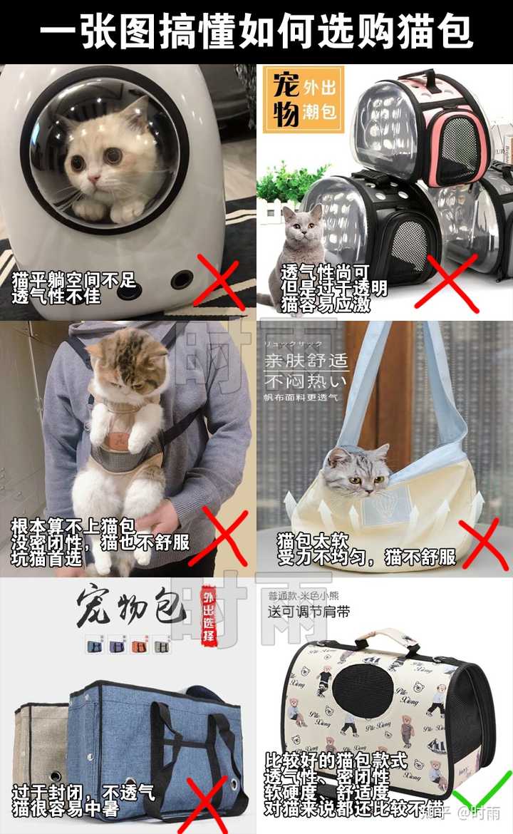 带宠物猫坐车需要注意什么? - 知乎