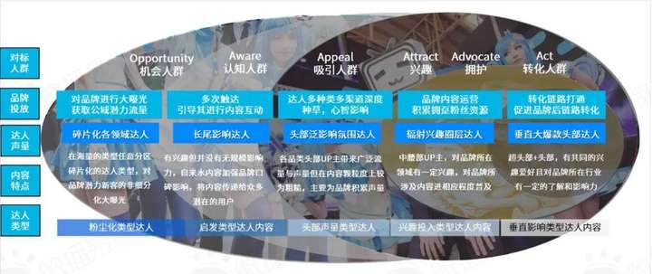 b站用户群体分析2022（B站成功背后的用户人群分析）