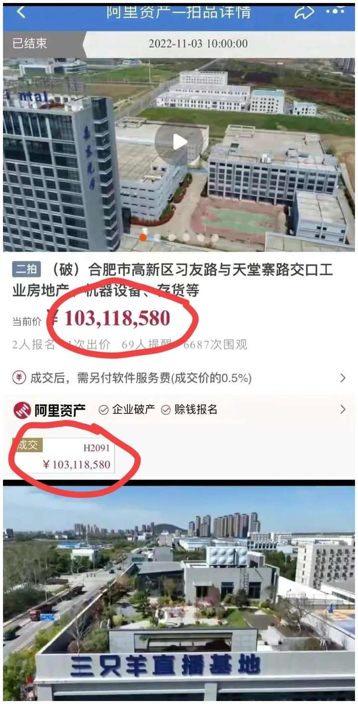 小杨哥的营销策略（疯狂小杨哥商业布局）