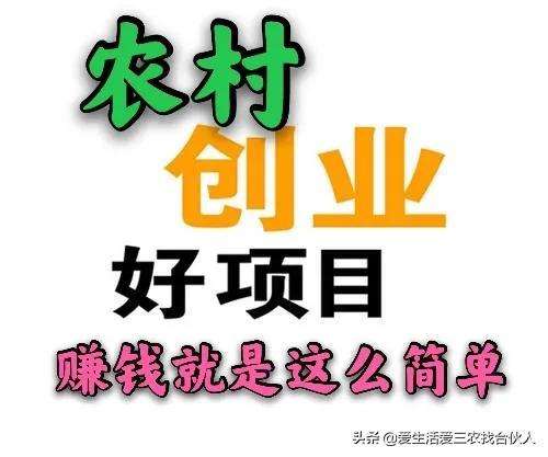 农村不起眼的商机（开个不愁销路的小厂）