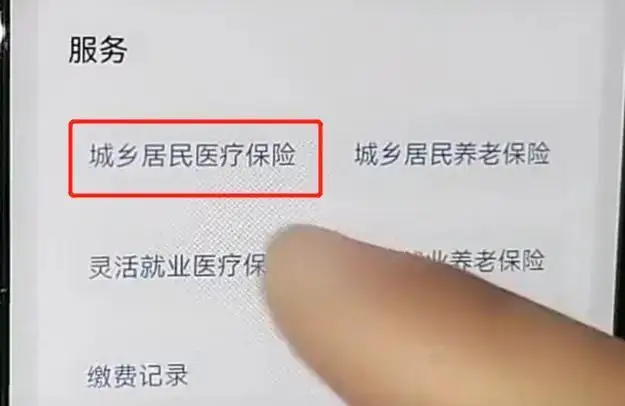 新农合医保网上缴费怎么交 2022新农合网上缴费入口