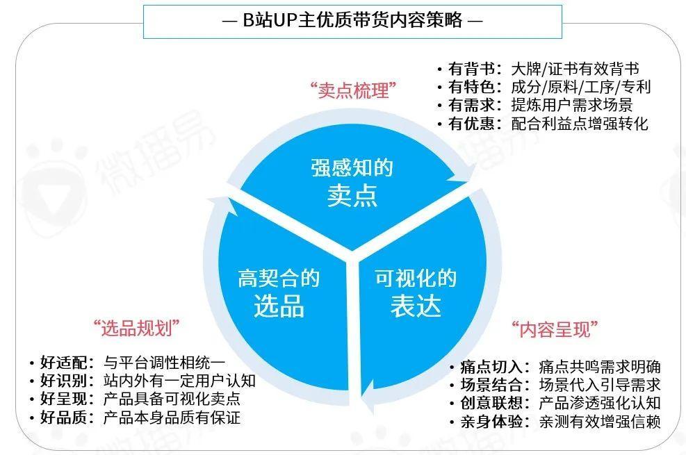 b站用户群体分析2022，B站成功背后的用户人群分析