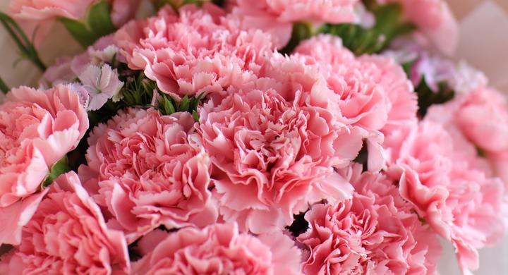 三八节送花吗 三八节为什么要送花给女性 三八节送花的理由 知乎 三八节送花吗 三八节为什么要送花给女性 三八节送花的理由 知乎