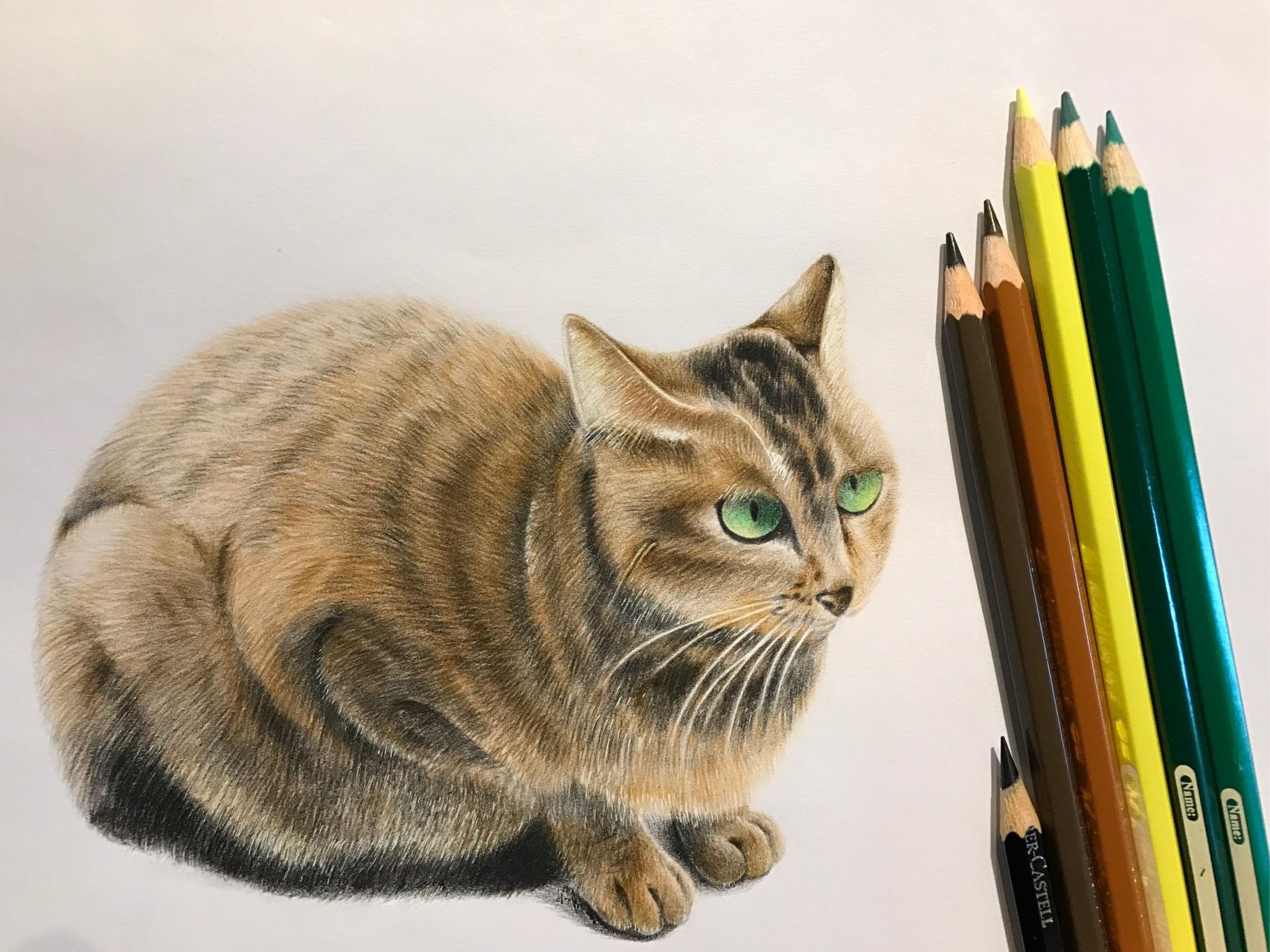 如何画出像这样高质量的彩铅作品?