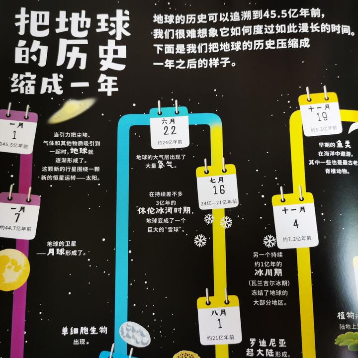 令人叹为观止的科普绘本,看了超涨知识