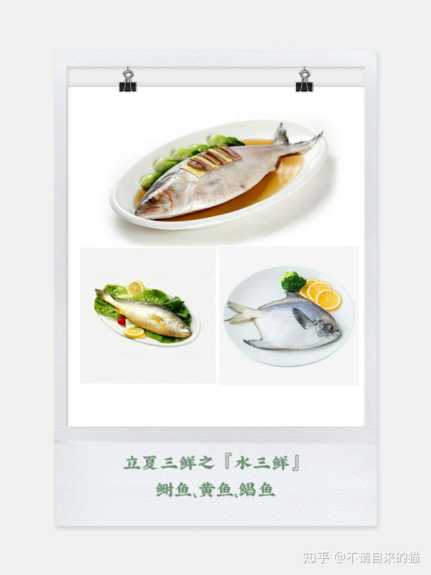 有哪些「立夏」时节的传统食俗? - 知乎