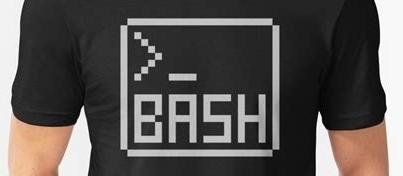 Bash编程入门 2 Bash变量 知乎