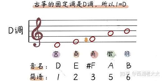 新手如何学习古筝?