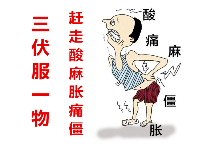 抓住三伏的尾巴，补阳祛寒，赶走体内的风寒湿邪 - 知乎