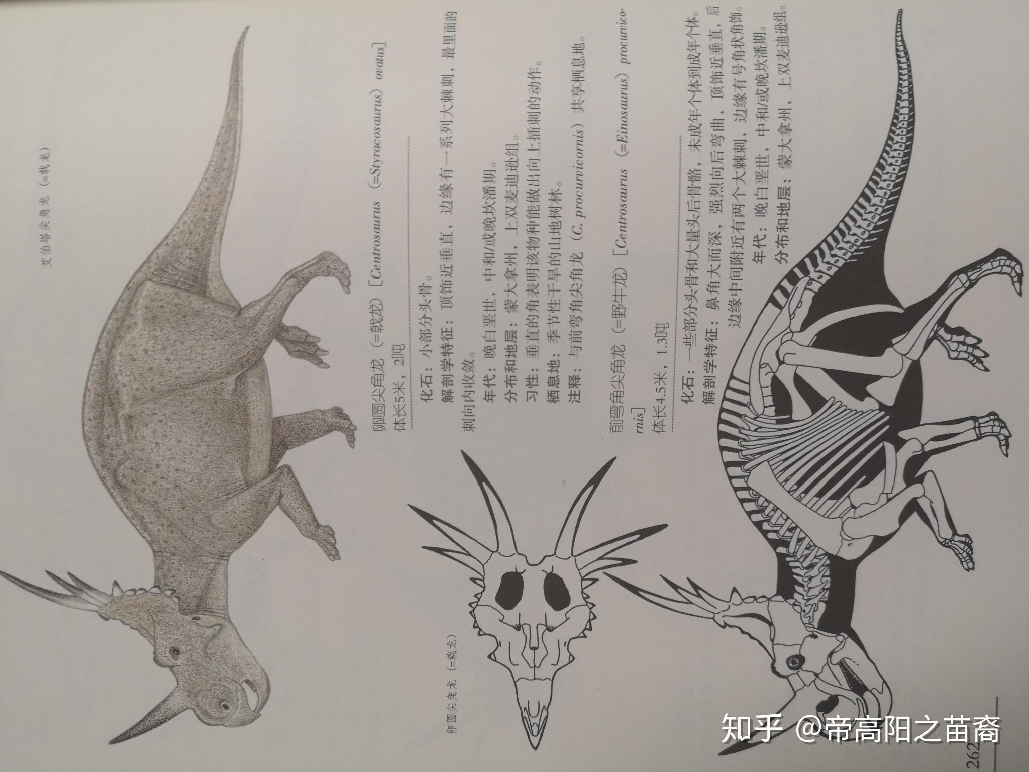 这个恐龙叫什么名字? - 知乎