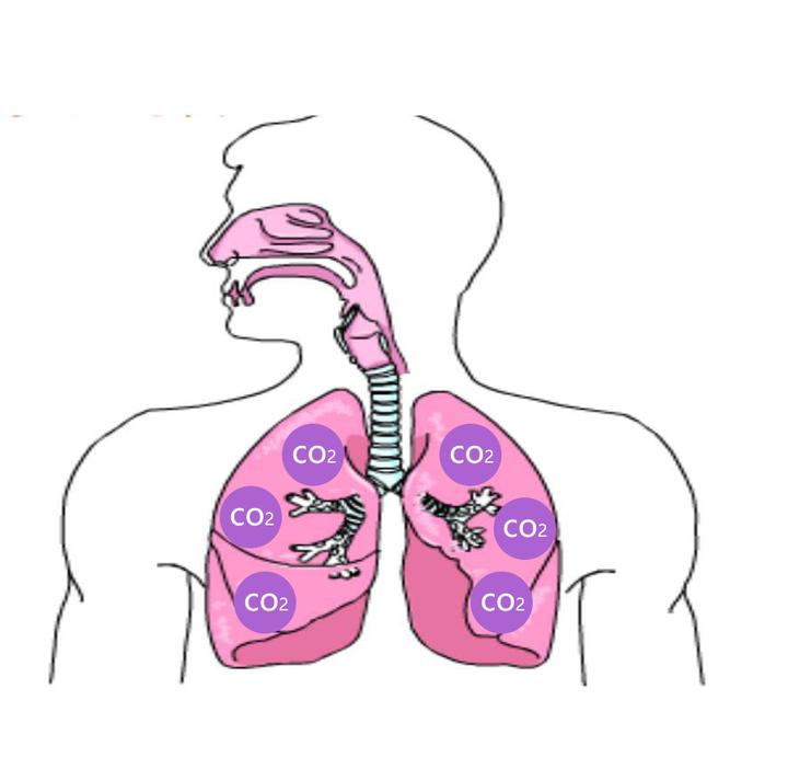 肺泡性肺气肿的类型