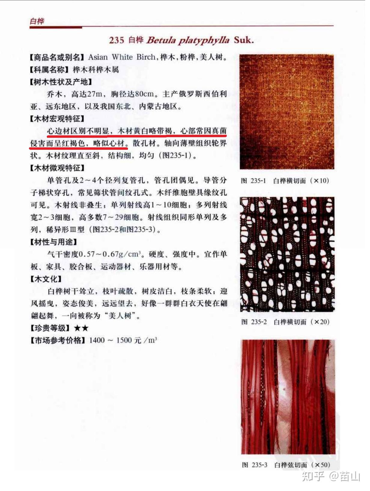 白桦(Betula platyphylla)如何区分心材和边材? - 知乎