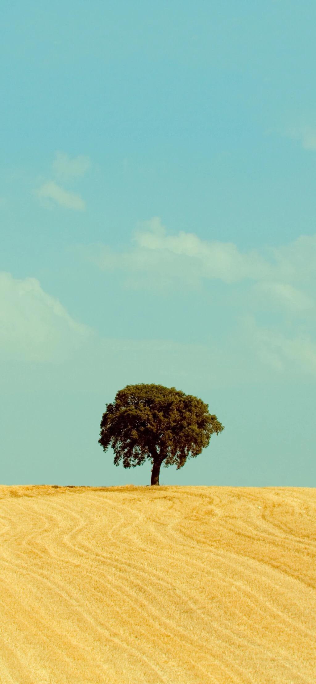 有哪些适合iphone全面屏用的惊艳高清壁纸? - 知乎