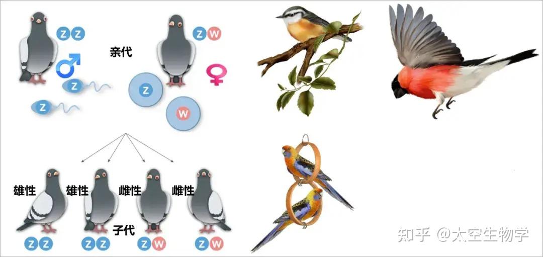 xy-zw
