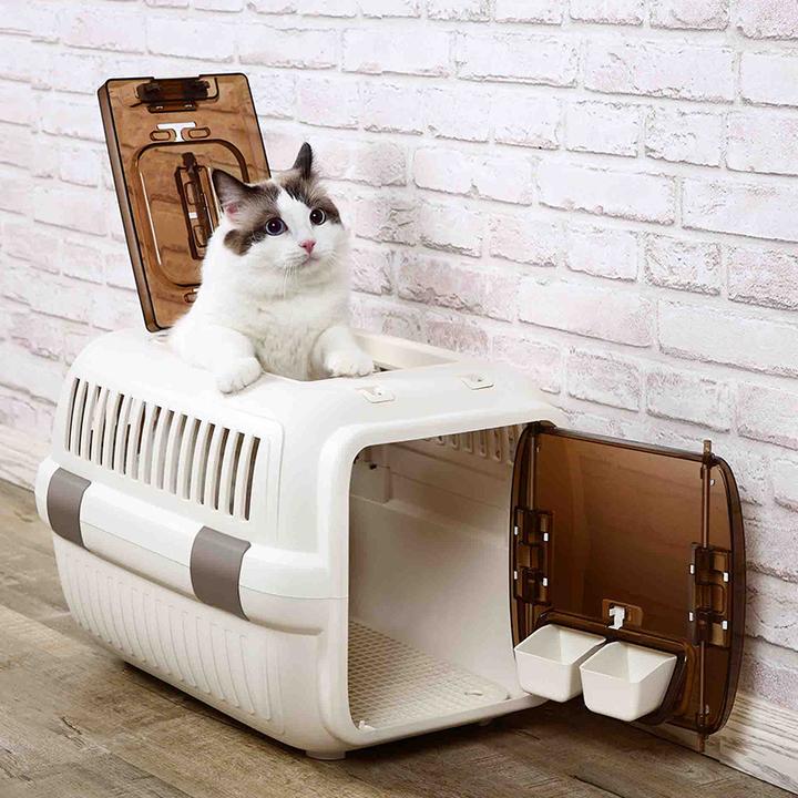 新手养猫航空箱推荐 含详细清单攻略 知乎 新手养猫航空箱推荐 含详细清单攻略 知乎