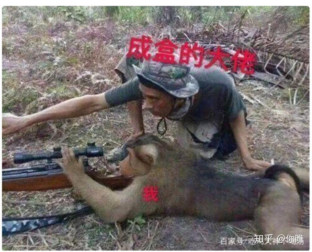 有没有关于和平精英的表情包