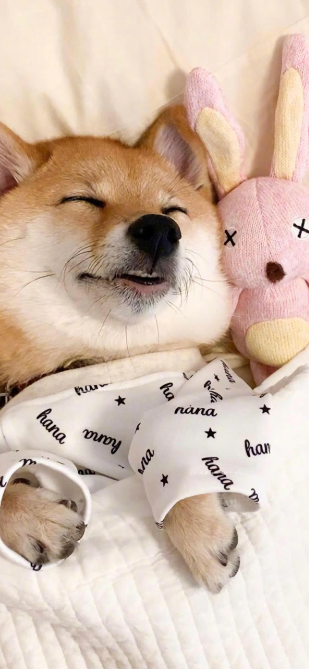 有没有有一些情侣间用的好看的微信聊天背景图