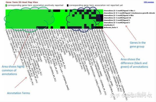 如何具体到某个基因进行富集分析？ - 知乎