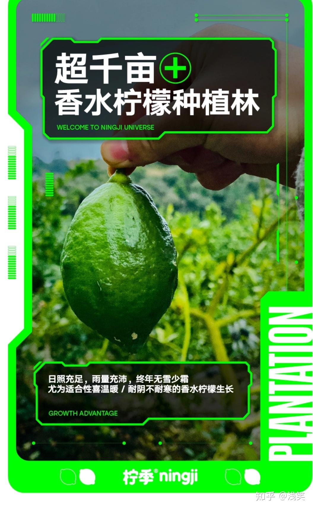 柠季柠檬茶能带给我们什么？ 知乎