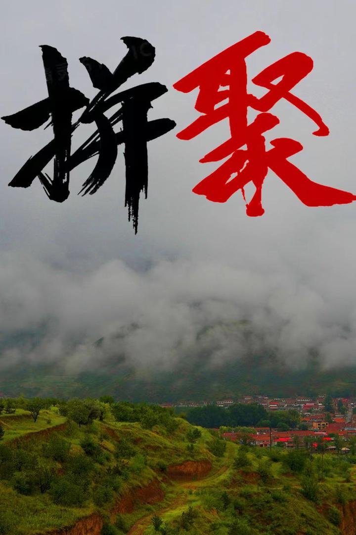 长篇纪实小说——《拼聚》第一章 - 知乎