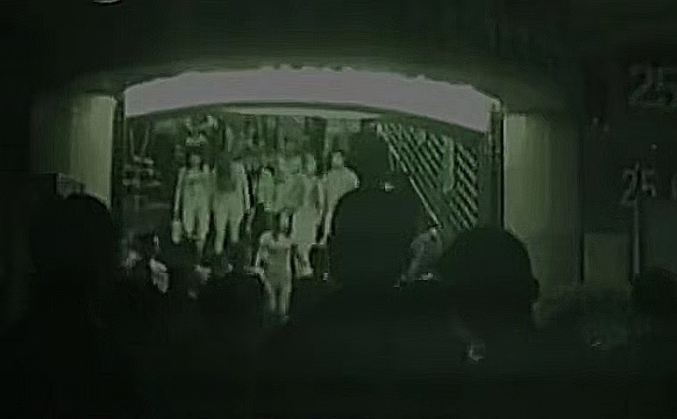 图 11:警方秘密采集图像