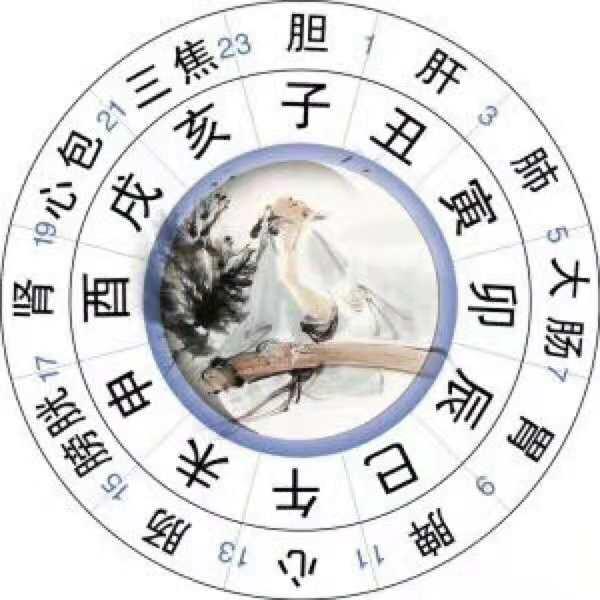 #十二时辰养生#之子时： - 知乎