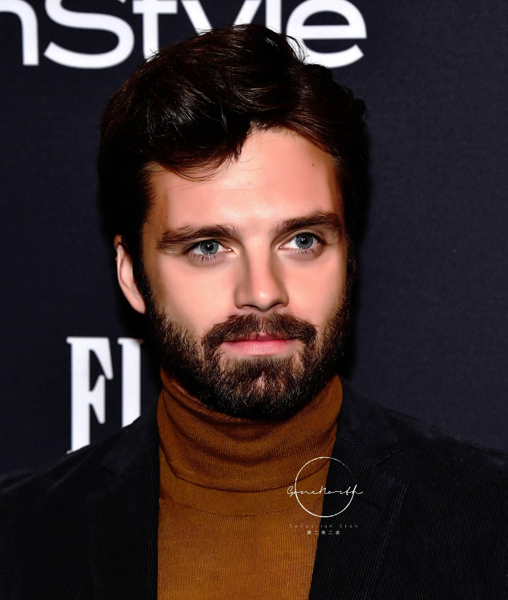 大家都有哪些塞巴斯蒂安斯坦 (sebastian stan)的美照(066254