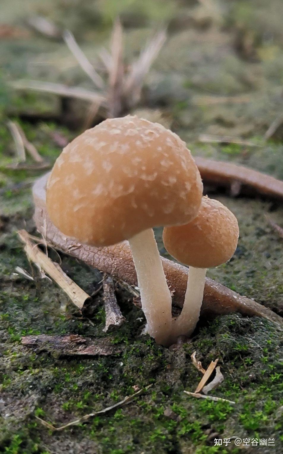 花這麼多錢補這麼多課還是不好好學成績還是上不去真不想給補了是不是