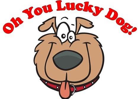 走了狗屎运的雅思7分是这么来的