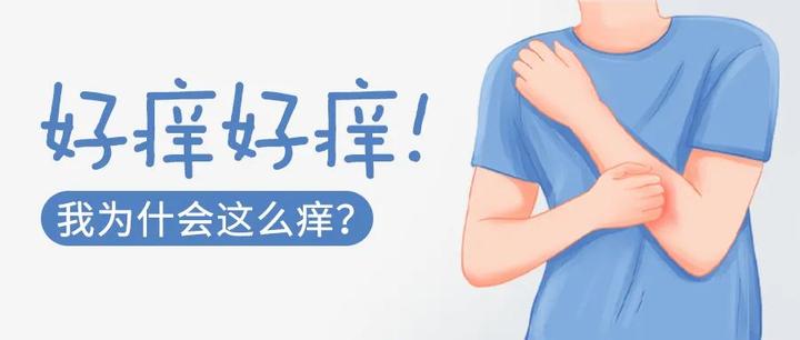 痒痒痒,挠挠挠!夏季皮炎高发,该注意什么 - 知乎