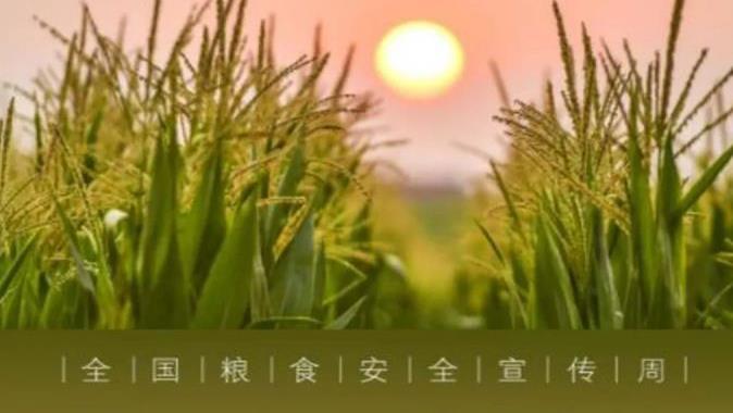 食为政首 粮安天下 | 10.16带您了解世界粮食日 - 知乎