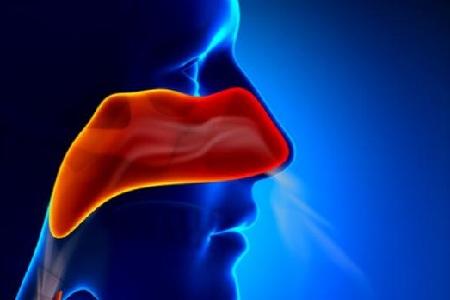 首大崔付军:萎缩性鼻炎有那些典型症状 知乎