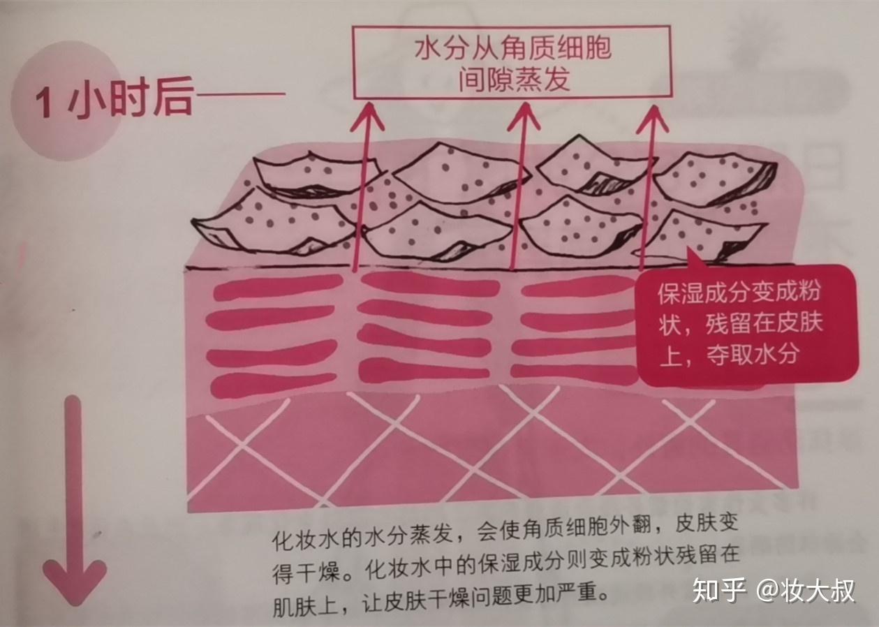 皮肤屏障受损了要怎样修复呢？ - 知乎
